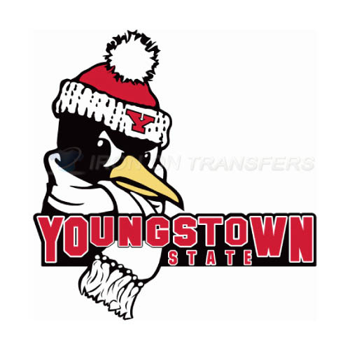 Youngstown State Penguins Iron-on Stickers (Heat Transfers)NO.7095